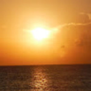 Meet your Posher, Mica